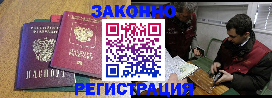 прописка 2025 в Кольчугино
